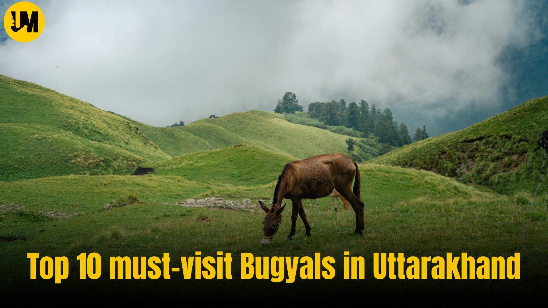 Top 10 must-visit Bugyals in Uttarakhand