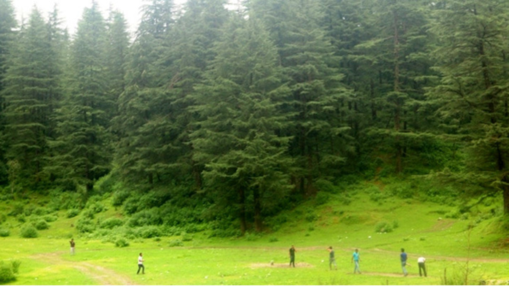 benog wildlife sanctuary