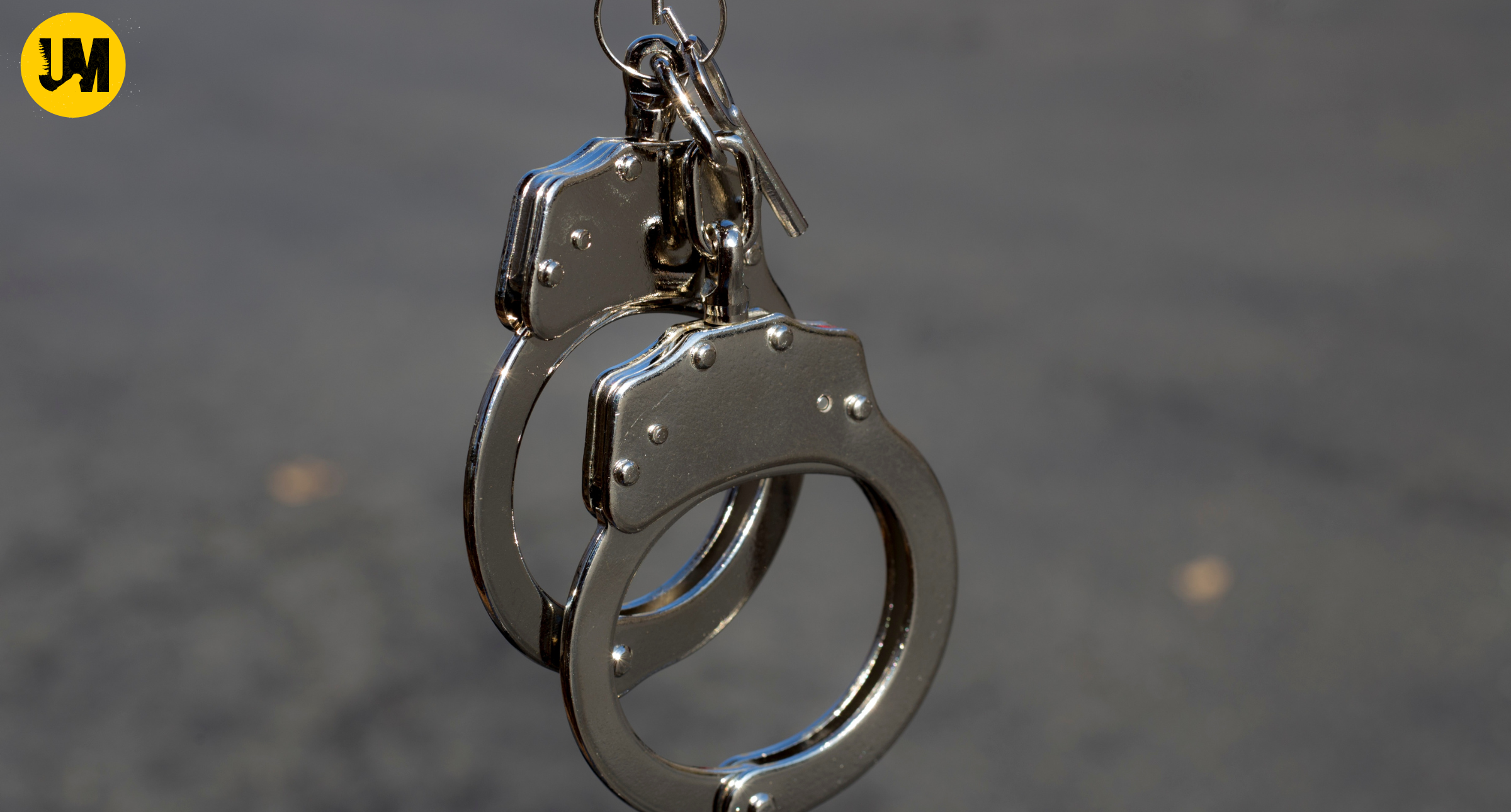 cyber fraud person areested