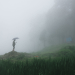 monsoon update