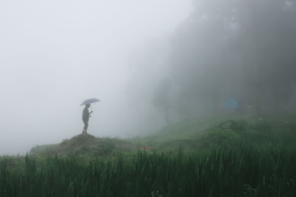 monsoon update