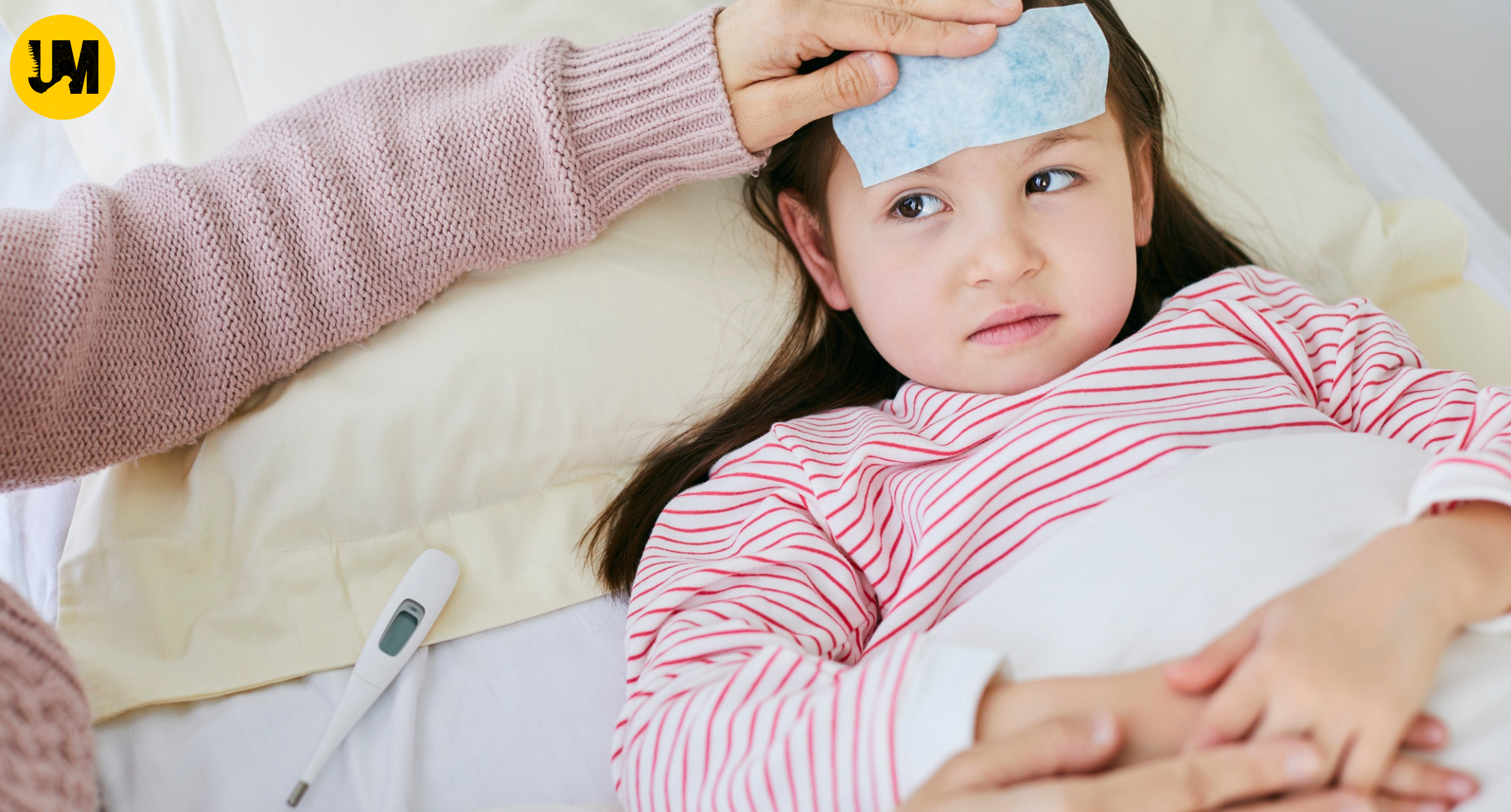 dehradun dengue update