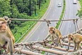 Delhi-Dehradun Expressway