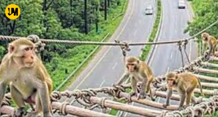 Delhi-Dehradun Expressway