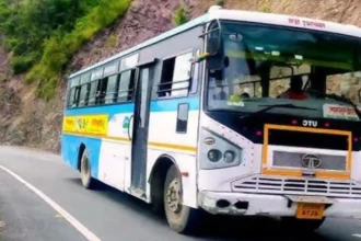 Diwali Gift For Delhi And UP