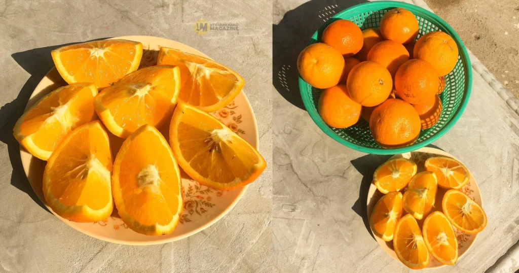 Fresh Malta fruit from Uttarakhand orchards