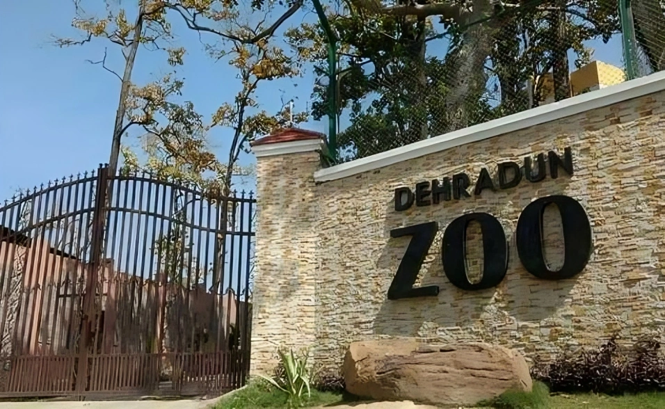 Malsi Deer Park (Dehradun Zoo)