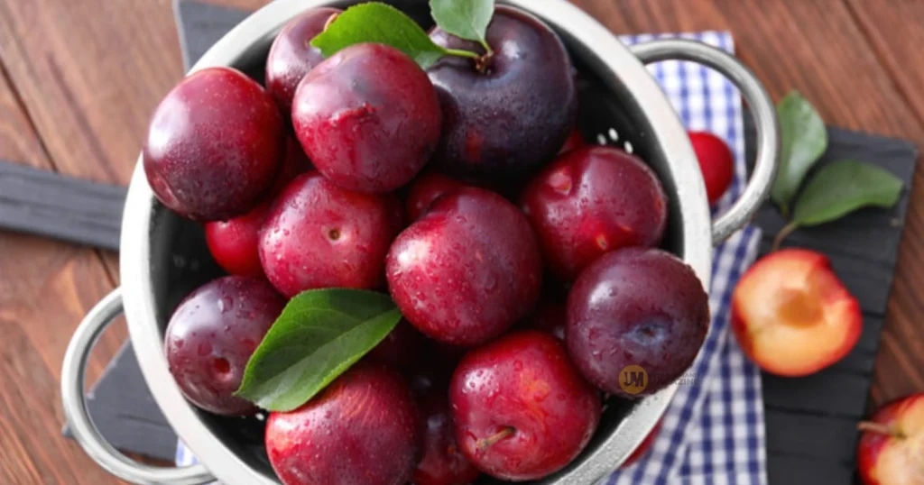 Seasonal plum fruit in Uttarakhand