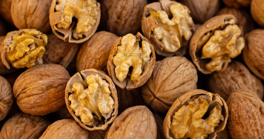Walnut farming in Uttarakhand hills