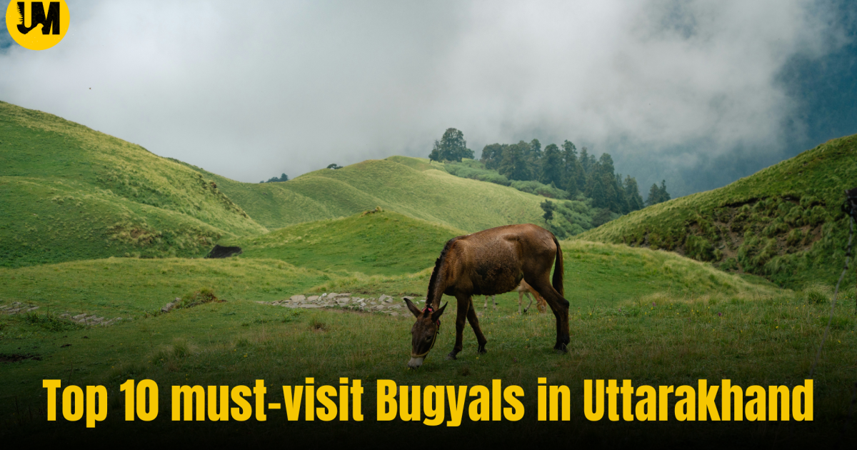 Top 10 must-visit Bugyals in Uttarakhand